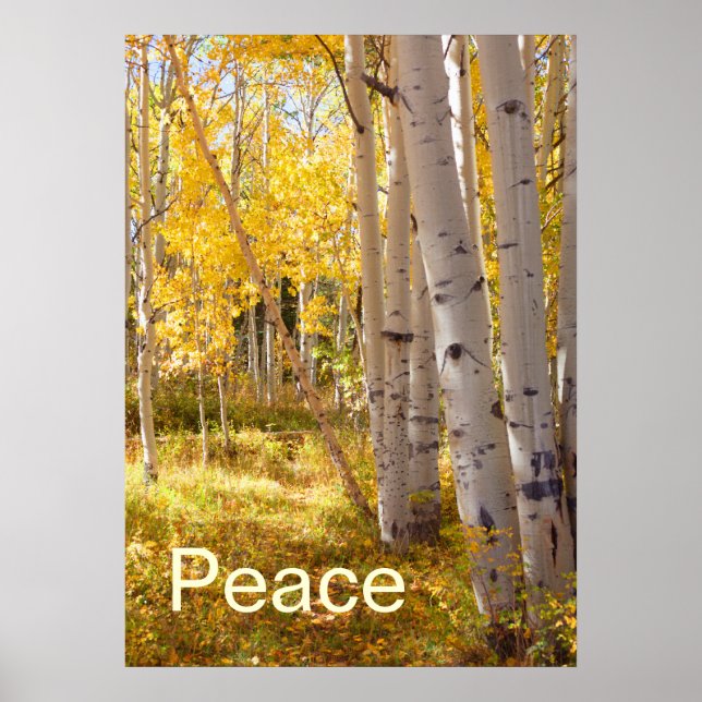 Póster Paz (Frente)