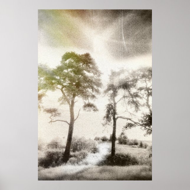 Póster Paz antes de la tormenta (Frente)