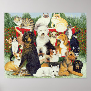 Póster Paz de navidades