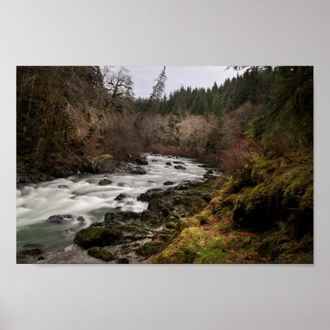 Póster Paz en el río (Frente)