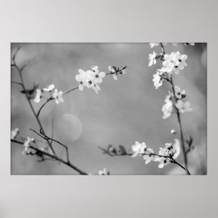 PÓSTER PEACE