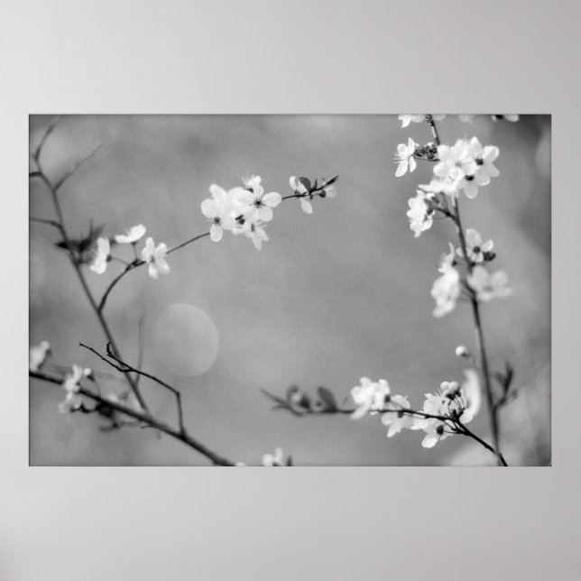 PÓSTER PEACE (Frente)