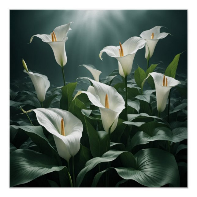 Póster peace lilies (Anverso)