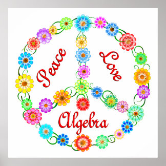 Póster Peace Love Algebra