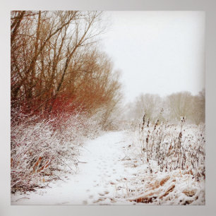 Póster Peaceful Winter Path