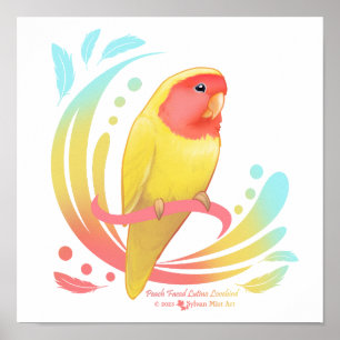 Póster Peach Faced Lutino Lovebird