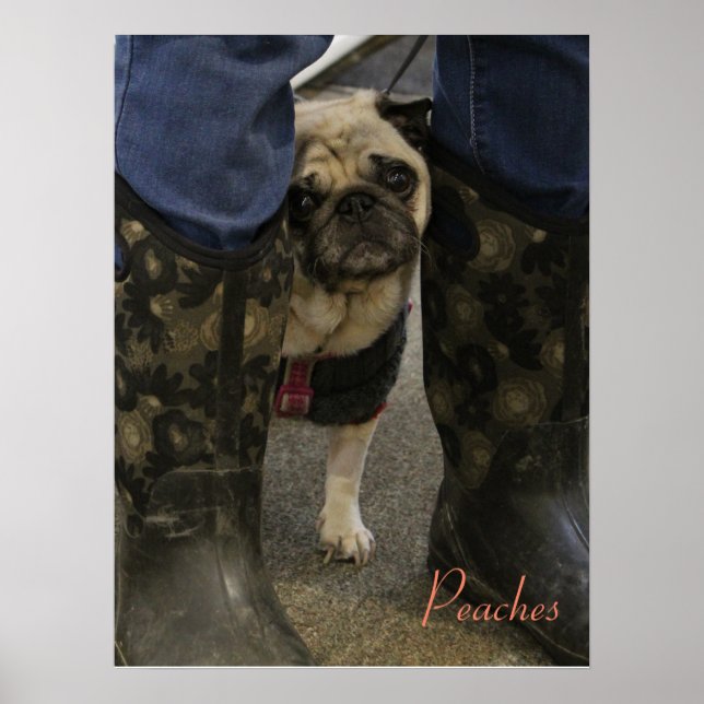 Póster Peaches (Frente)