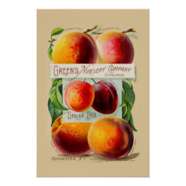 Póster Peaches