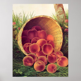 Póster Peaches derramados