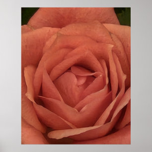 Póster Peachy Mini Rosa