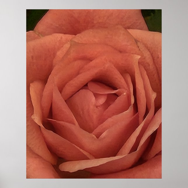 Póster Peachy Mini Rosa (Frente)