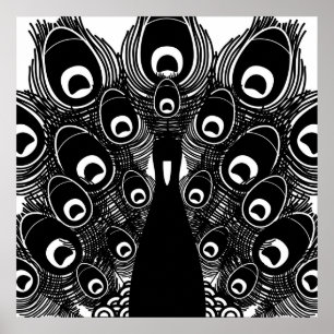 Póster Peacock