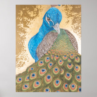 Póster Peacock
