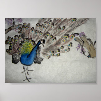 Póster Peacock