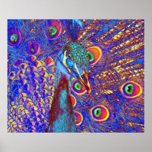 Póster Peacock