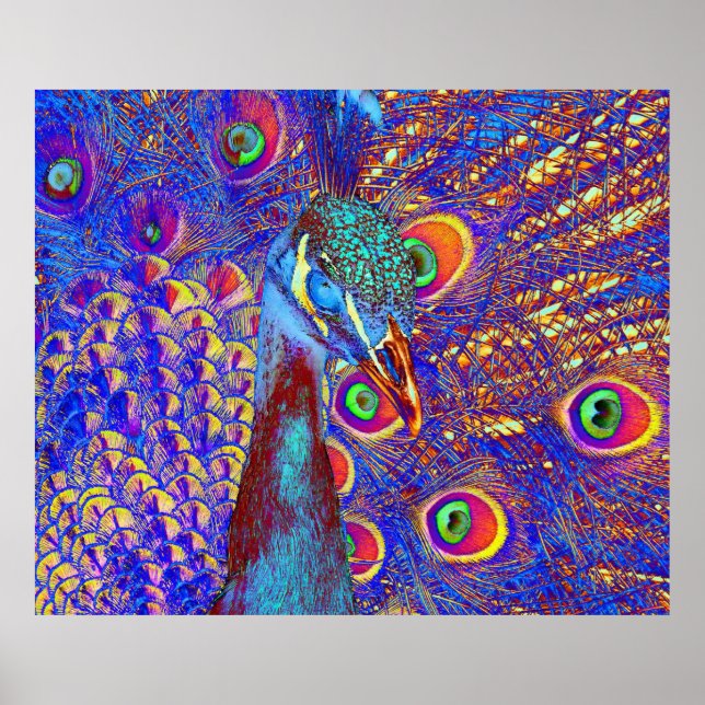 Póster Peacock (Frente)
