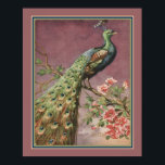 Póster Peacock Art Deco de los años 20, por Carlo Chiostr<br><div class="desc">Art Deco Peacock de los años 1920 de Carlo Chiostri</div>
