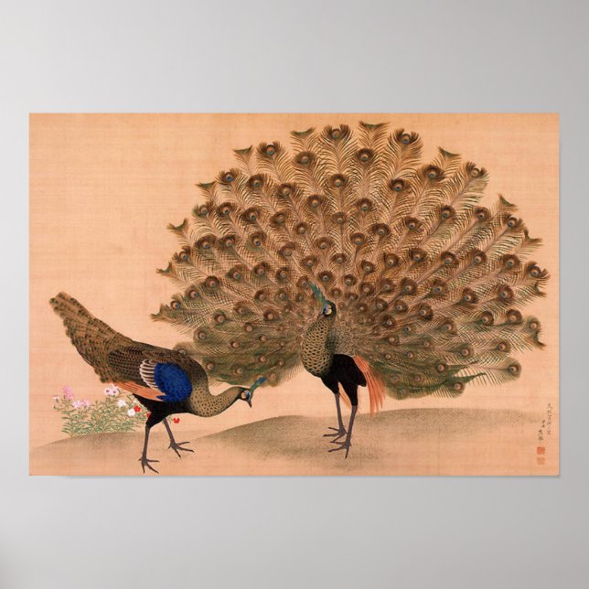 Póster Peacock asiático vintage (Frente)