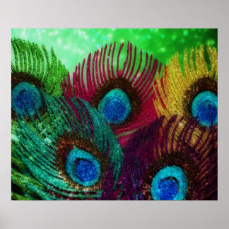 Póster Peacock colorido