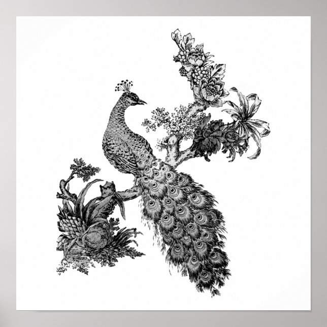 Póster Peacock de época en camisetas y regalos de sucursa (Frente)