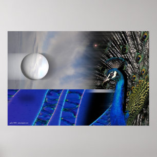 Póster Peacock Dreams by Gregory Gallo