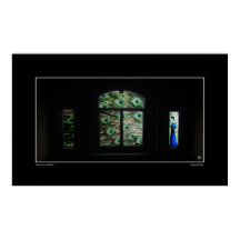 Peacock en un Poster de ventana