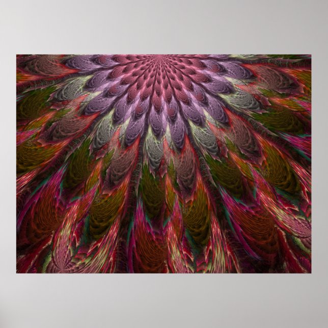 Póster Peacock Feathers (Frente)