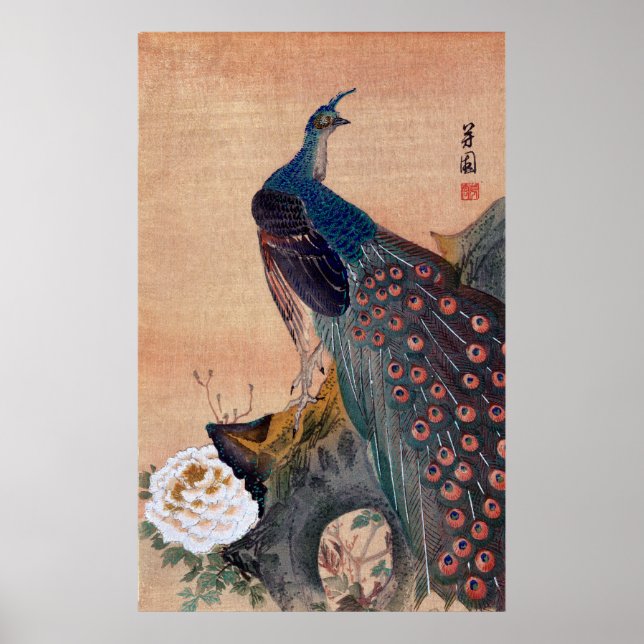 Póster Peacock japonés n.º 1 (Frente)
