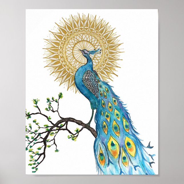 Póster Peacock Mandala (Frente)