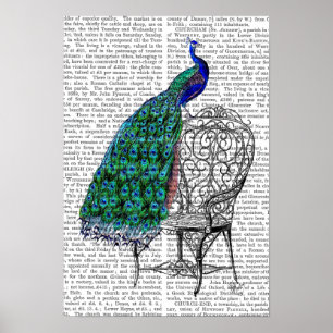 Póster Peacock sobre la silla