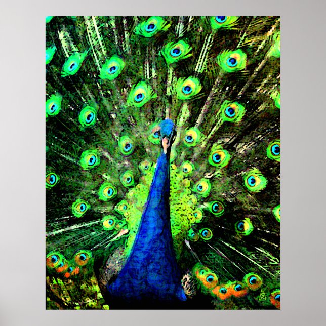 Póster Peacock Strut (Frente)
