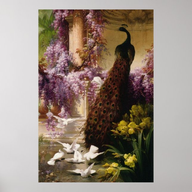 Póster Peacock vintage (Frente)