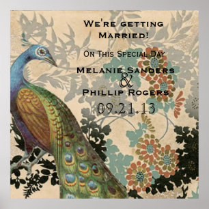 Póster Peacock vintage