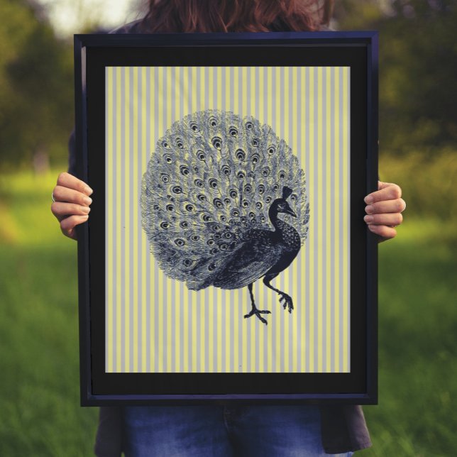 Póster Peacock vintage en franjas delgadas (Subido por el creador)