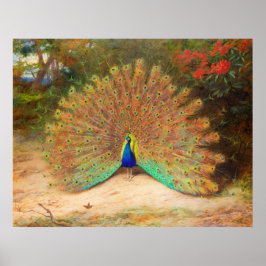 Póster Peacock y mariposa de pavo real