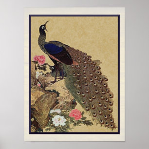 Póster Peacock y Peonies vintage Bella Artes japonés