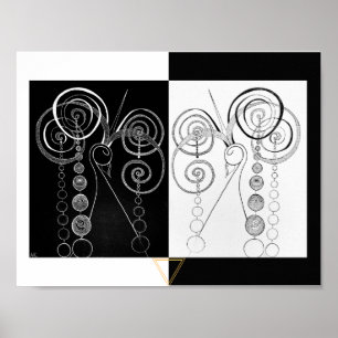 Póster Peacock Yin y Yang DUET ilustracion