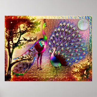 Póster Peacocks2 Poster