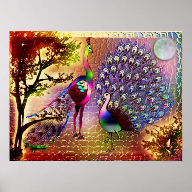 Póster Peacocks2 Poster (Frente)