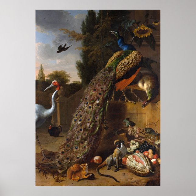 Póster Peacocks - Melchior d' Hondecoeter (Frente)