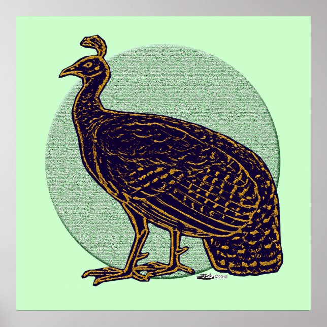 Póster Peafowl: Impresionante Congo Hen (Frente)