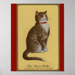 Póster Peake, el viejo de Chessie, gato manchado