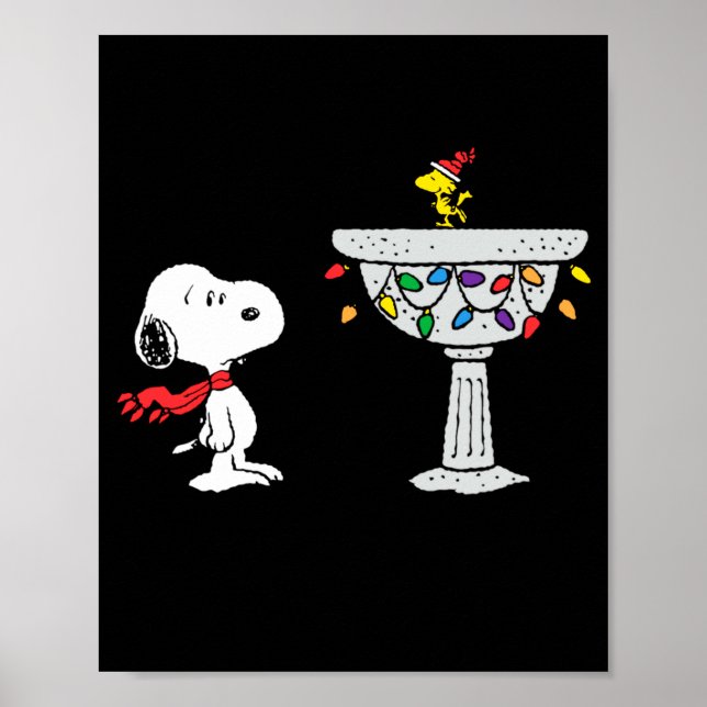Póster Peanuts Decorated Bird Bath  (Frente)