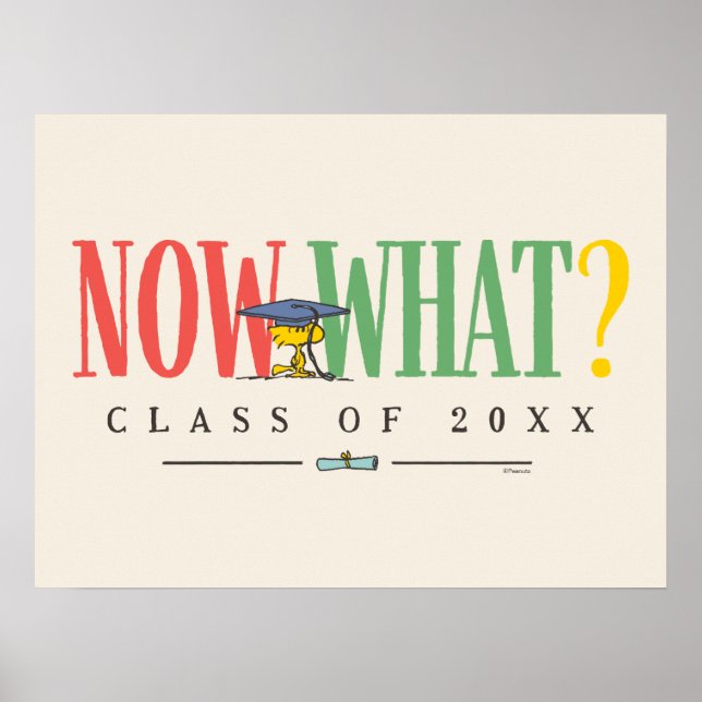 Póster Peanuts Woodstock Now What Graduation Funny Quote (Frente)
