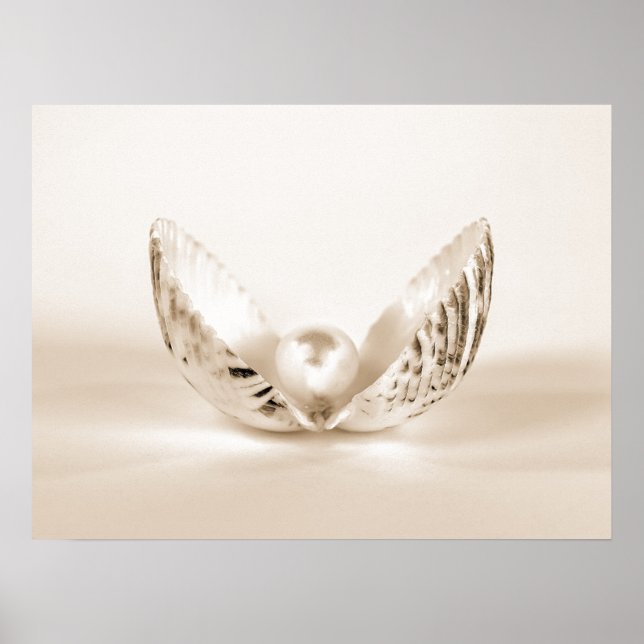 Póster Pearl In Seashell (Frente)