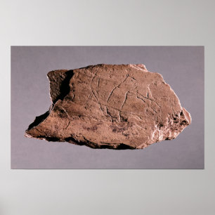 Póster Pebble depicting a man being attacked by a bea