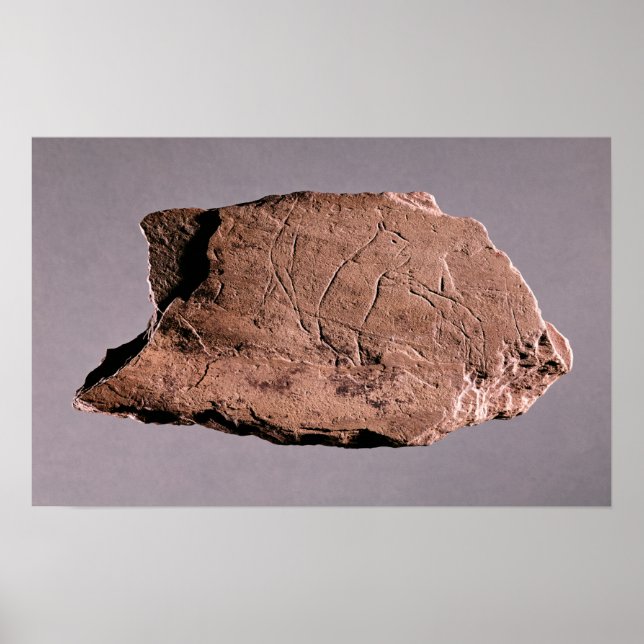 Póster Pebble depicting a man being attacked by a bea (Frente)