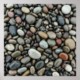 Póster Pebbles del río húmedo