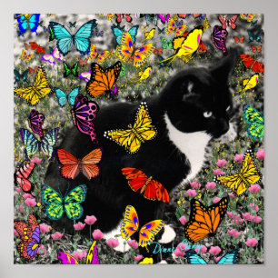 Póster Pecas en las mariposas - gatito del smoking