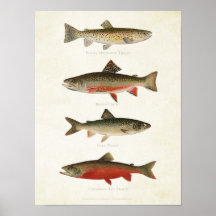 Peces de época - truchas